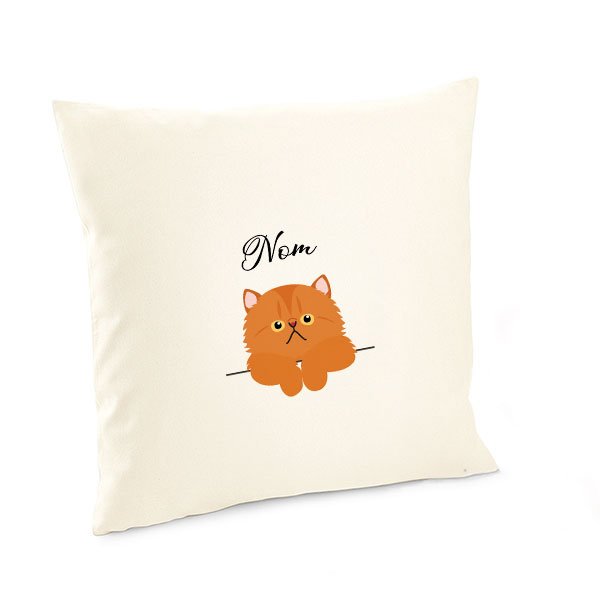 Housse-de-coussin-chat-européen-roux