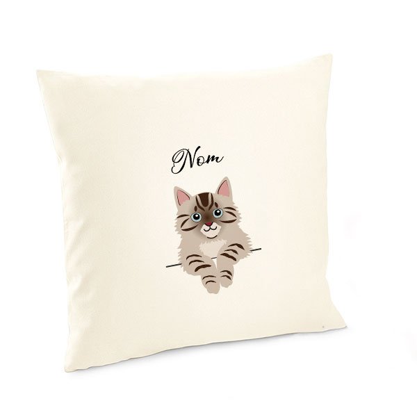 Housse-de-coussin-chat-européen-tigré-marron