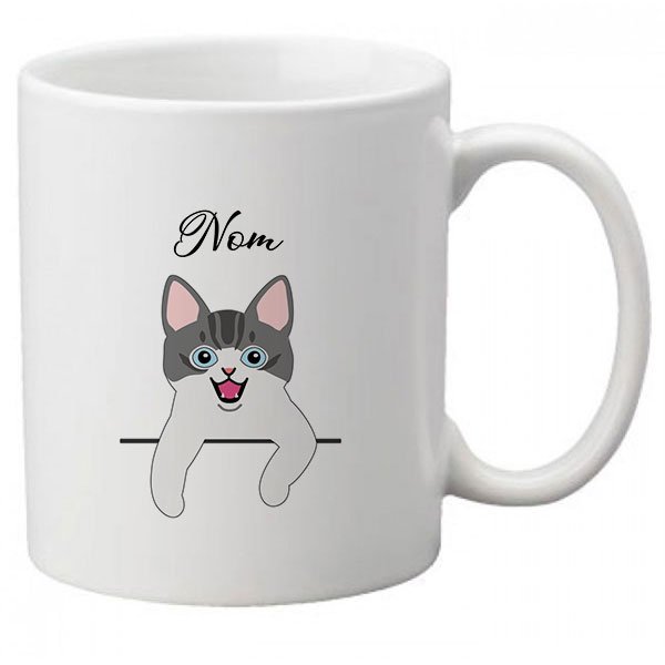 Mug-chat-européen-bicolore-gris-et-blanc