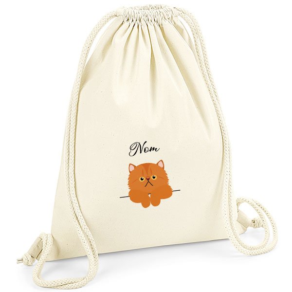 Sac-de-gym-chat-européen-roux