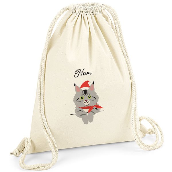 Sac-de-gym-chat-noel-maine-coon-gris
