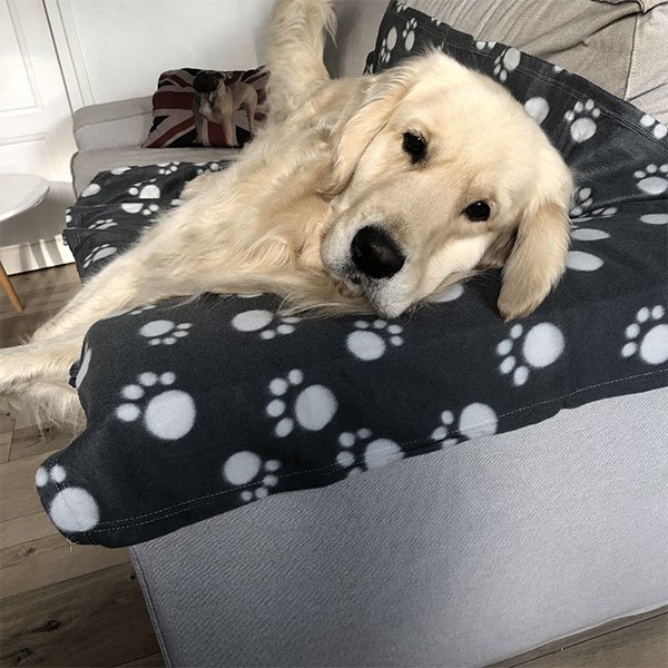 Couverture pour chien et chat Fluffy