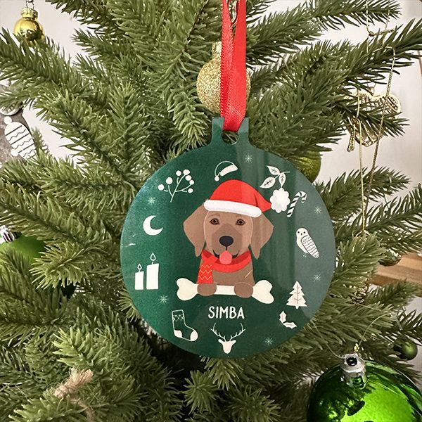 decoration-noel-chien-personnalisé-vert