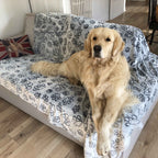 la-couverture-pour-chien