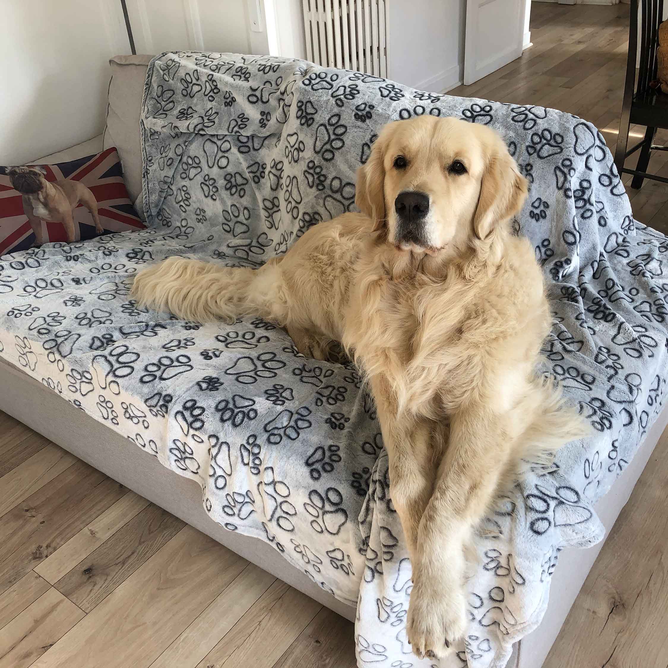 la-couverture-pour-chien
