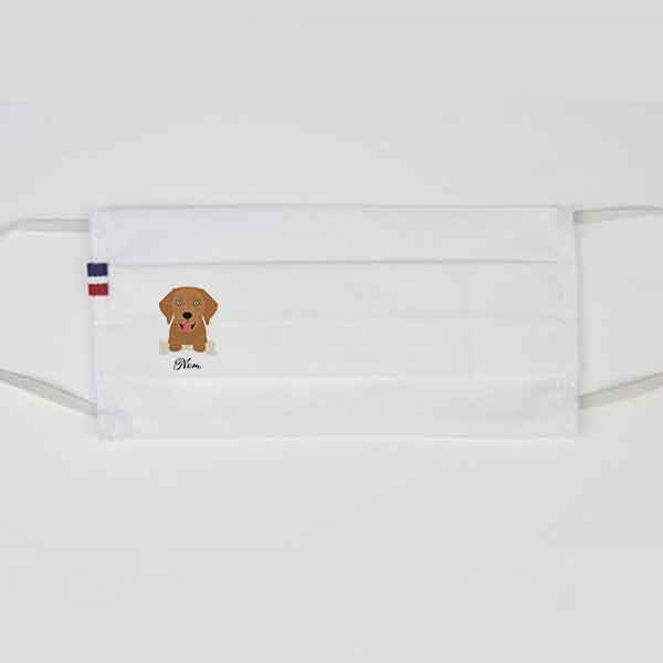 masque-Labrador-doré