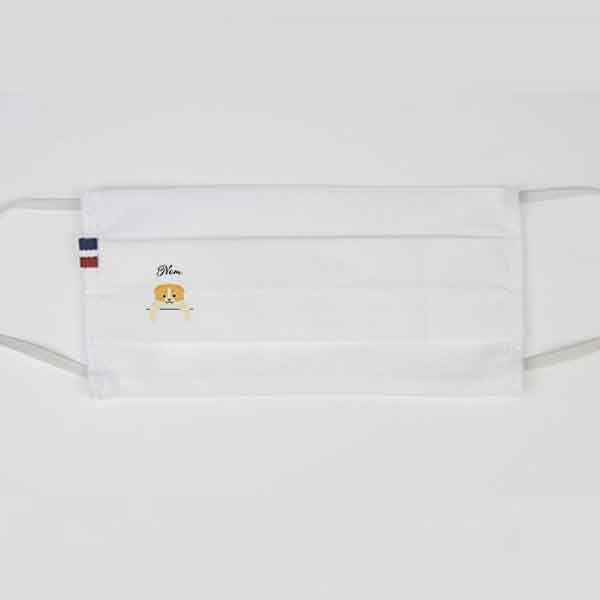 masque-chat-européen-bicolore-blanc-et-jaune