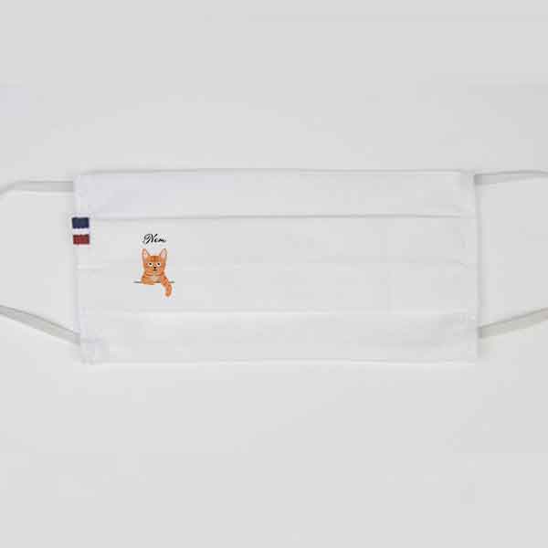 masque-chat-européen-tigré-roux