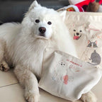 trousse-Pauline-Houard