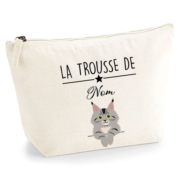 trousse chat maine coon gris