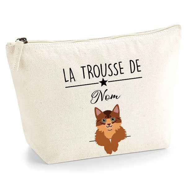 trousse chat somali roux