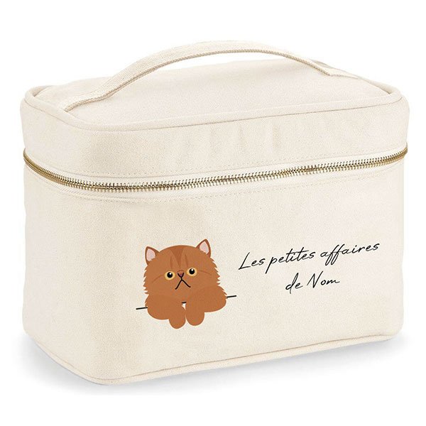trousse-de-voyage-chat-européen-roux