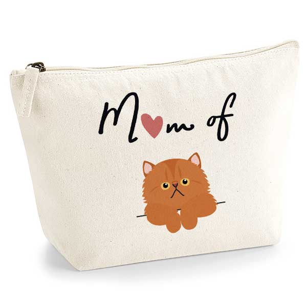 trousse-mom-of-cat-roux