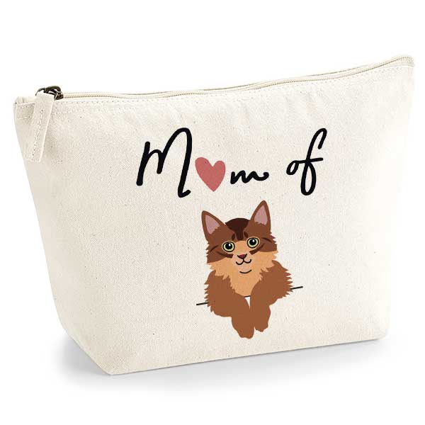 trousse-mom-of-cat-somali-roux