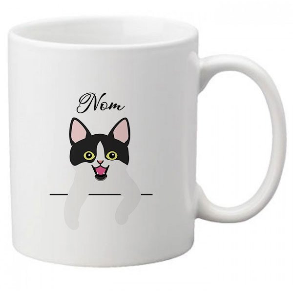 Chat Europeen Bicolore Noir Blanc Chat Europeen Bicolore Noir Blanc
