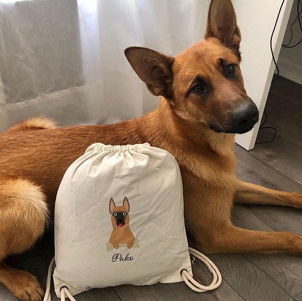 sac de gym chien