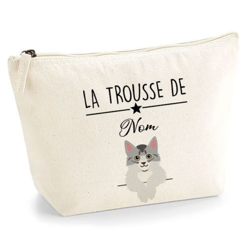 trousse-chat-somali-silver