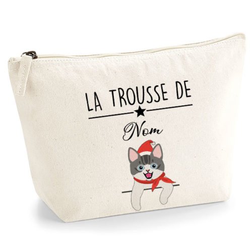 trousse-chat-noel-européen-bicolore-gris-et-blanc