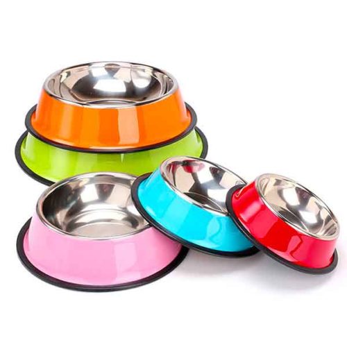 gamelle chien antiderapante
