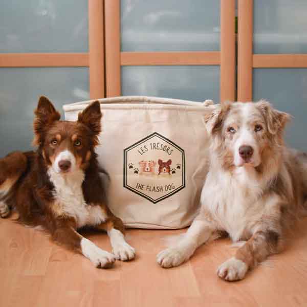 sac-de-rangement-chien
