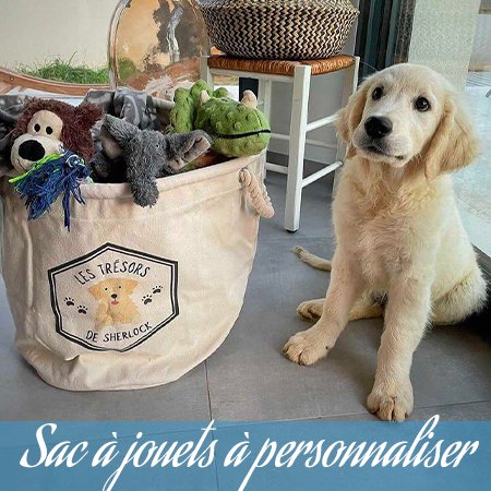 Le Monde De Nicky Accessoires Et Produits Pour Chiens Et Chats