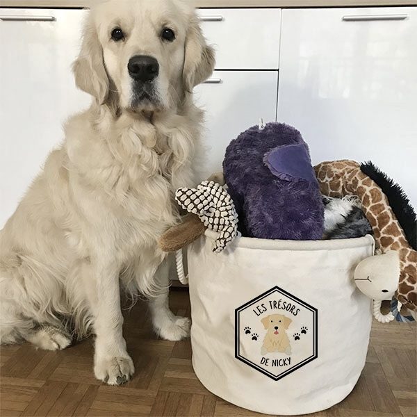 Panier À Jouets Personnalisé Pour Chien, Boîte De Rangement