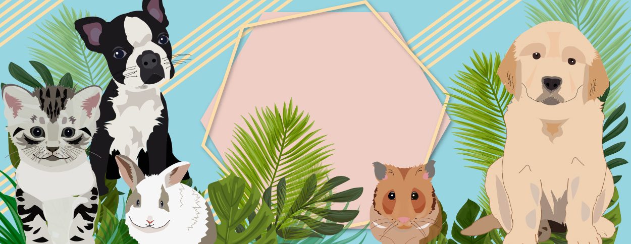 Collection Printemps