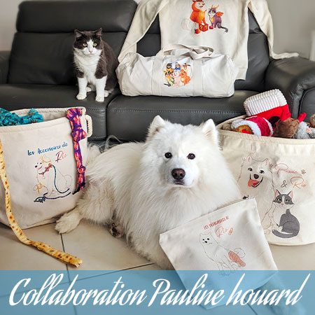 Collaboration Pauline Houard